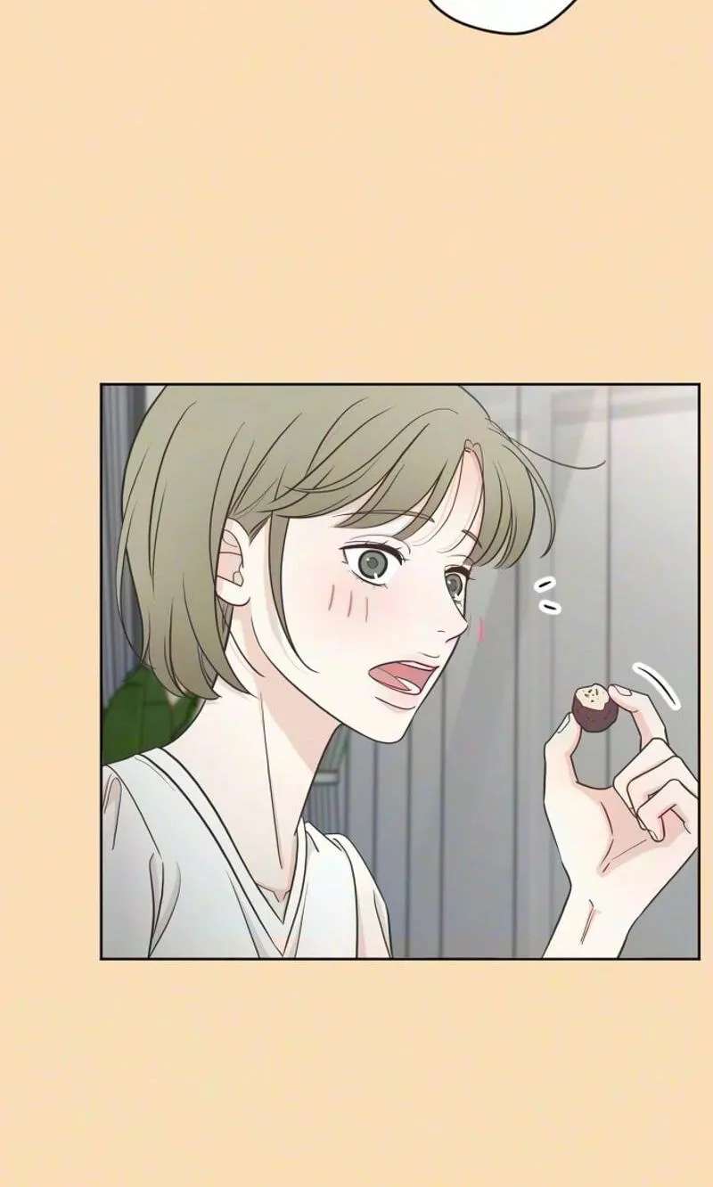 I'm Your Revenge Chapter 25 - page 25
