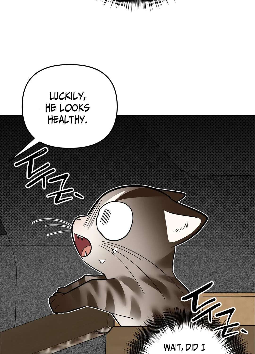 Give Birth to a Baby Wildcat for Me, Unless You Want to See Me Go Insane! Chapter 39 - page 14