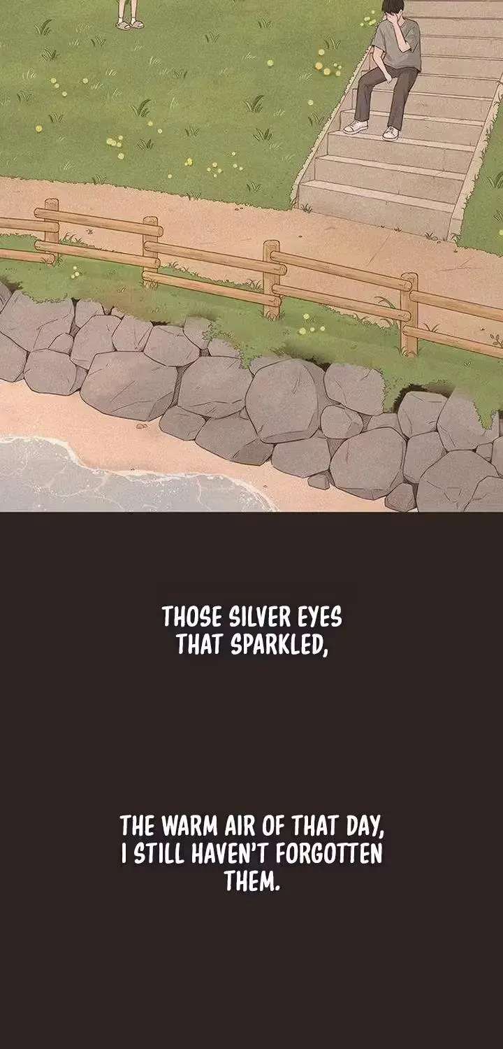 The Silver Eyes that Sparkled Chapter 2 - page 31