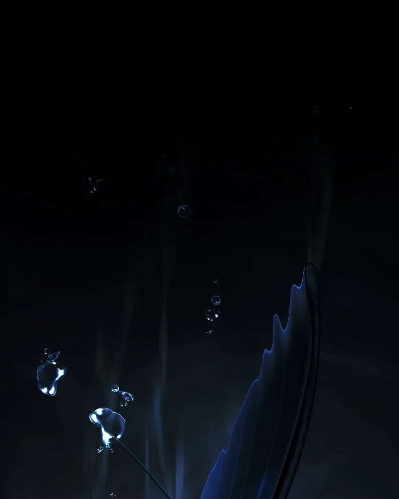 Don't Enter the House Pool Chapter 30 - page 3