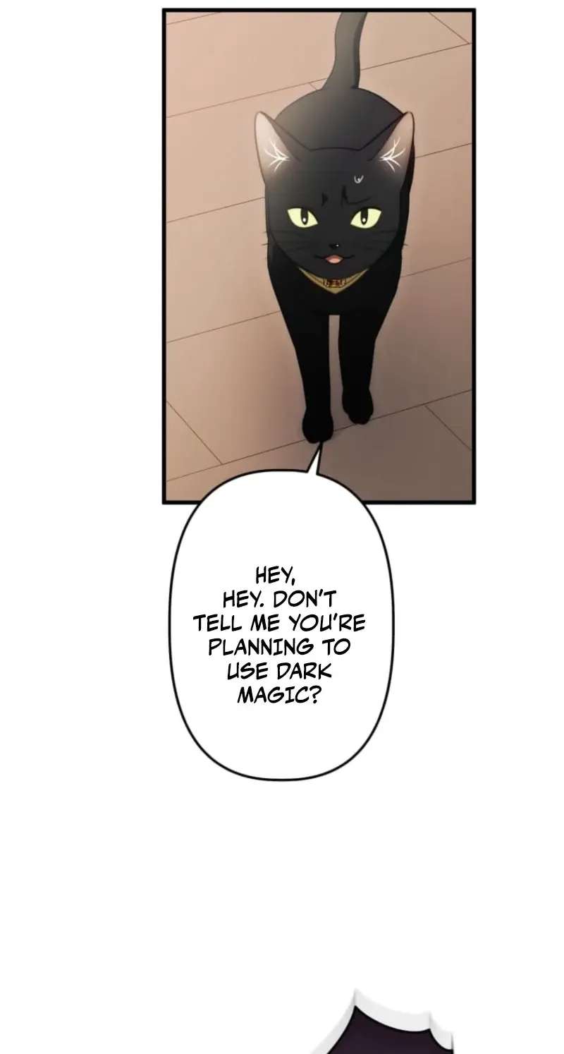 I Was a Black Mage Who Was Condemned, but Now I'm Being Loved After Going Back in Time?! Chapter 21 - page 51