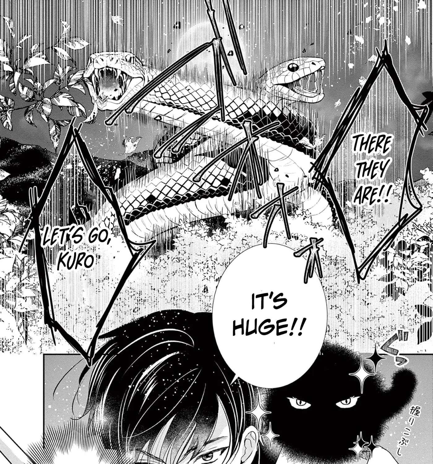 The Nameless Monster and Two Knights: And the Fiancé Is Perplexed Chapter 7 - page 43