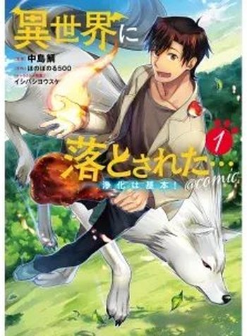Isekai Ni Otosareta… Jouka Wa Kihon!