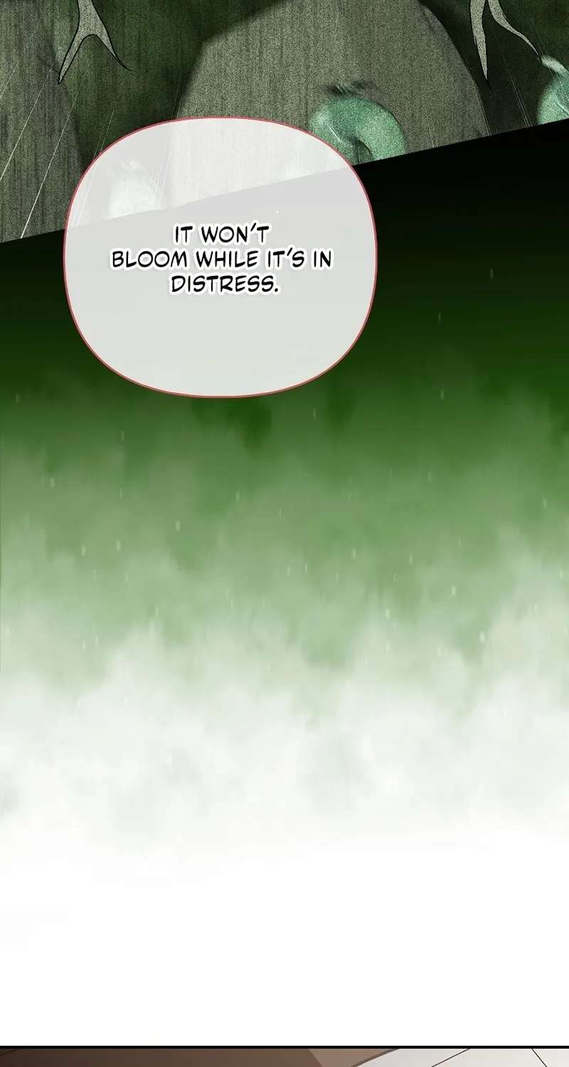 The Villainess Hides Her Wealth Chapter 79 - page 2