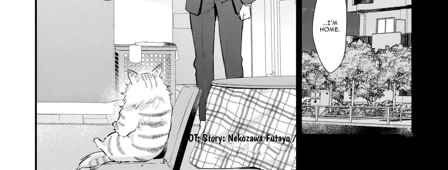 Is the Cat I Picked Up Really a Cat? Chapter 5.2 - page 3