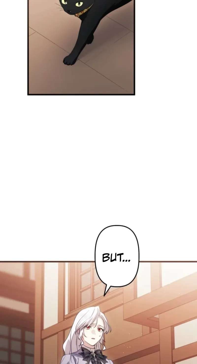 I Was a Black Mage Who Was Condemned, but Now I'm Being Loved After Going Back in Time?! Chapter 21 - page 43