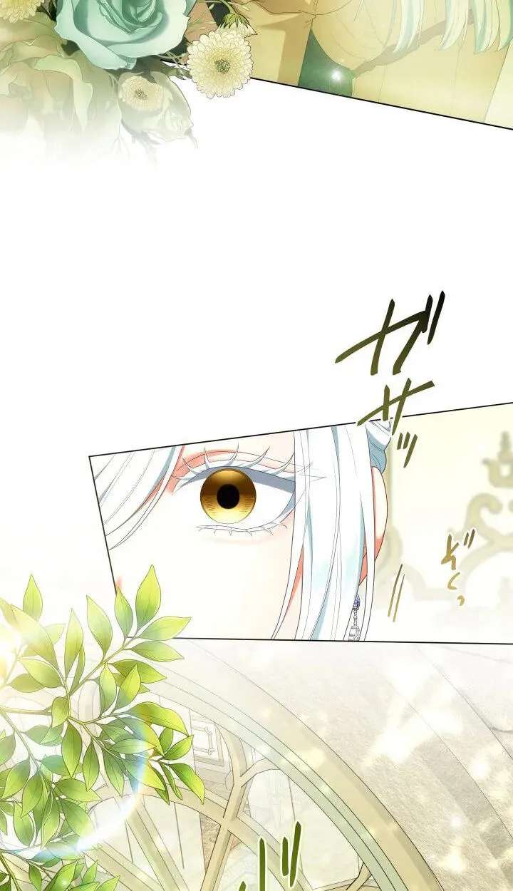 Kanpeki na Akujyo o Goran ni Iremashou Chapter 62 - page 66