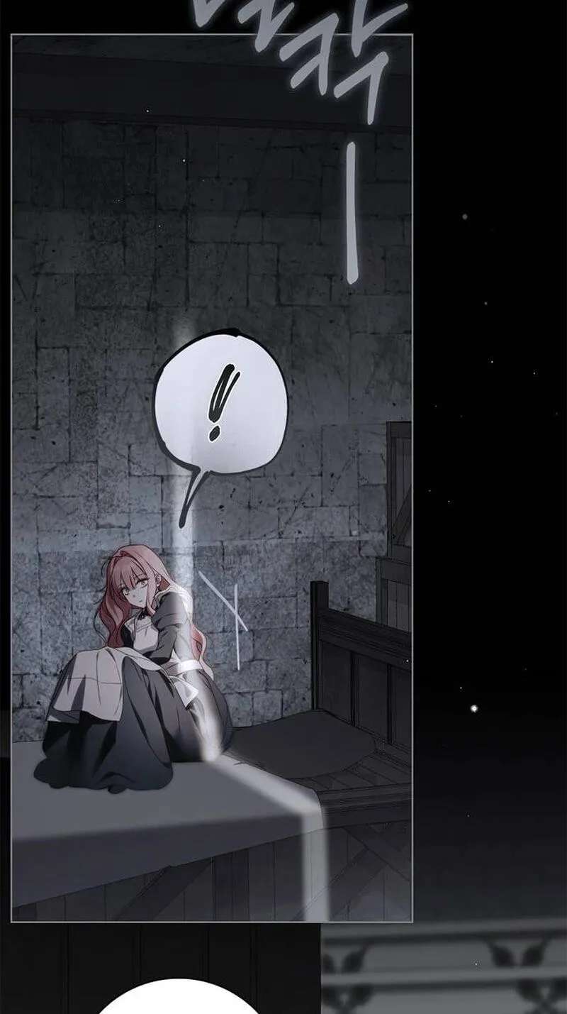 The Count's Secret Maid Chapter 106 - page 76
