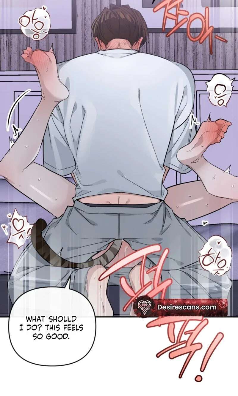 Give Birth to a Baby Wildcat for Me, Unless You Want to See Me Go Insane! Chapter 37 - page 46