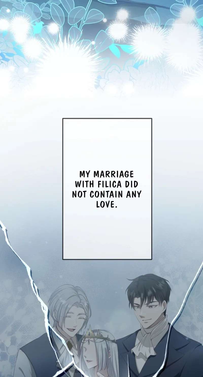 The Unhappy Poison Witch's Happy Marriage Chapter 17 - page 4
