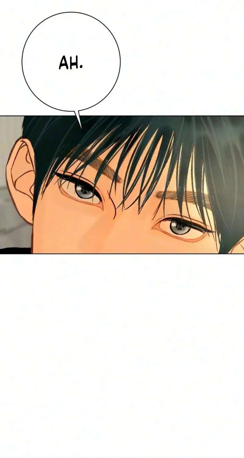 Before the grapes ripen Chapter 54 - page 51