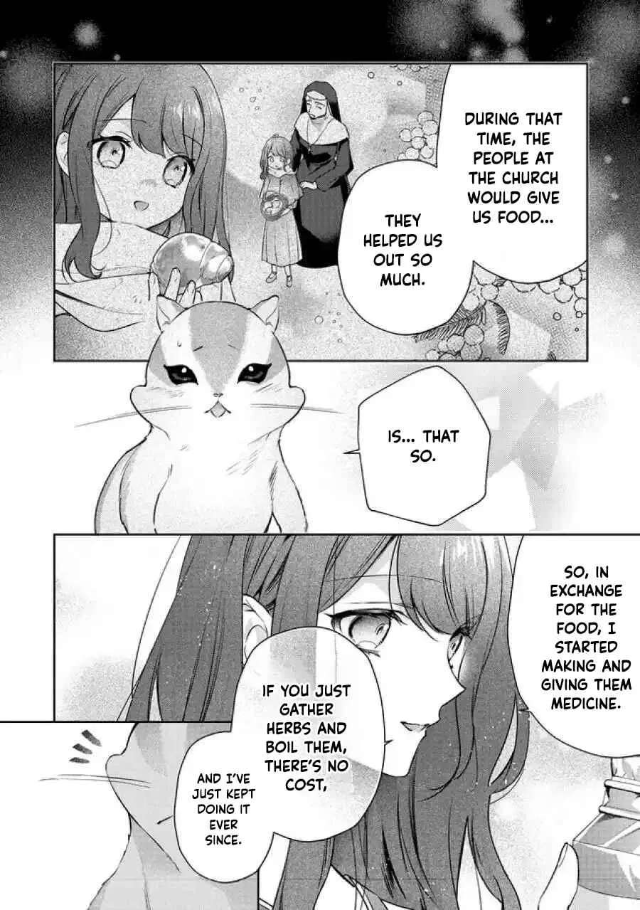 My Fiancé, Who Used to Hate Me, Turned into a Squirrel and Came to Me for Help. Chapter 5 - page 11