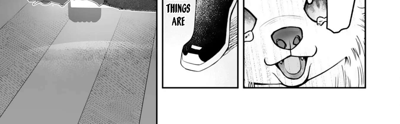 A Cat-Eared Girl's Heartwarming Meals for Fluffy Creatures Chapter 1 - page 18