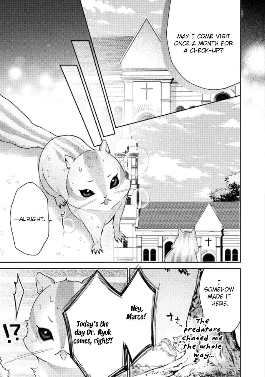 Risu ni Natte Shimatta Kon'yakusha ga, Kegirai Shiteita Hazu no Watashi ni Tasuke o Motomete Kimashita. Chapter 4 - page 11