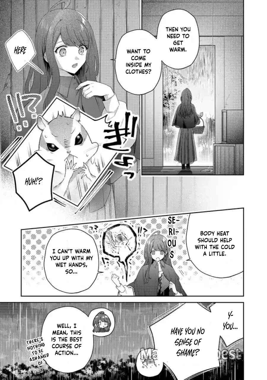 My Fiancé, Who Used to Hate Me, Turned into a Squirrel and Came to Me for Help. Chapter 5 - page 48