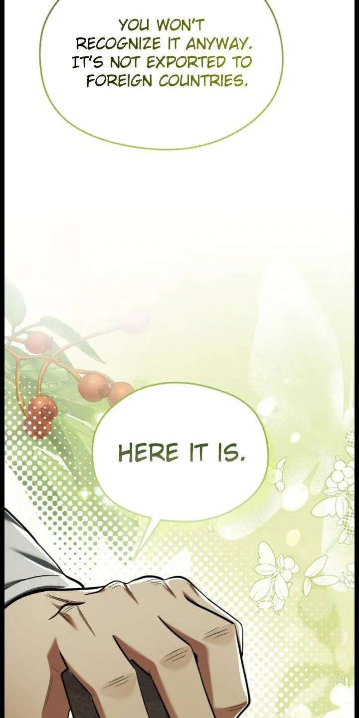 The Otherworldly Nutritionist Chapter 33 - page 31