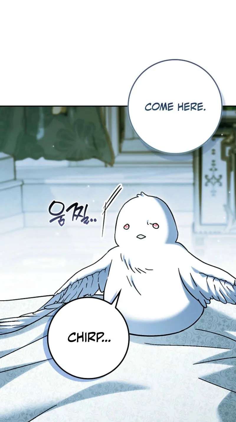 The White Tiger Princess Is Safe Chapter 48 - page 84