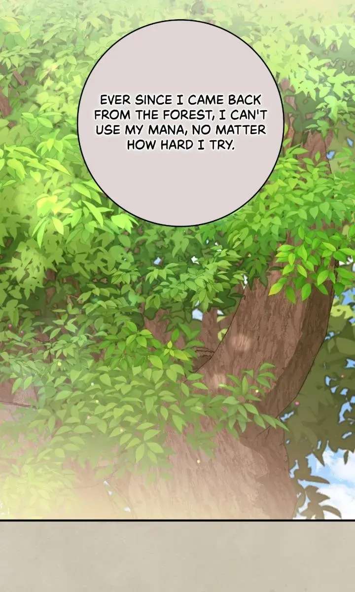 The Beloved Gardener of the World Tree Chapter 52 - page 31