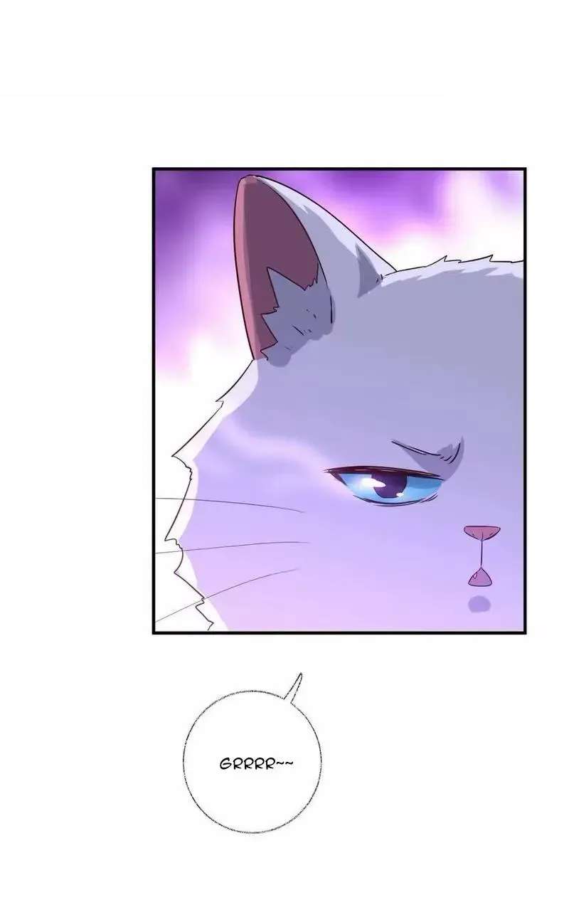 Pay Me Back, Mr. Cat Chapter 46 - page 31