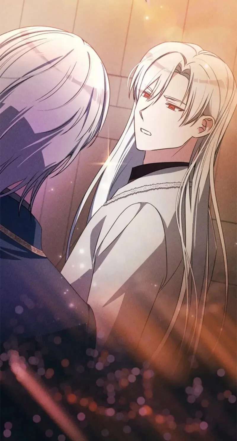 The Count's Beloved Contract Young Lady Chapter 49 - page 71