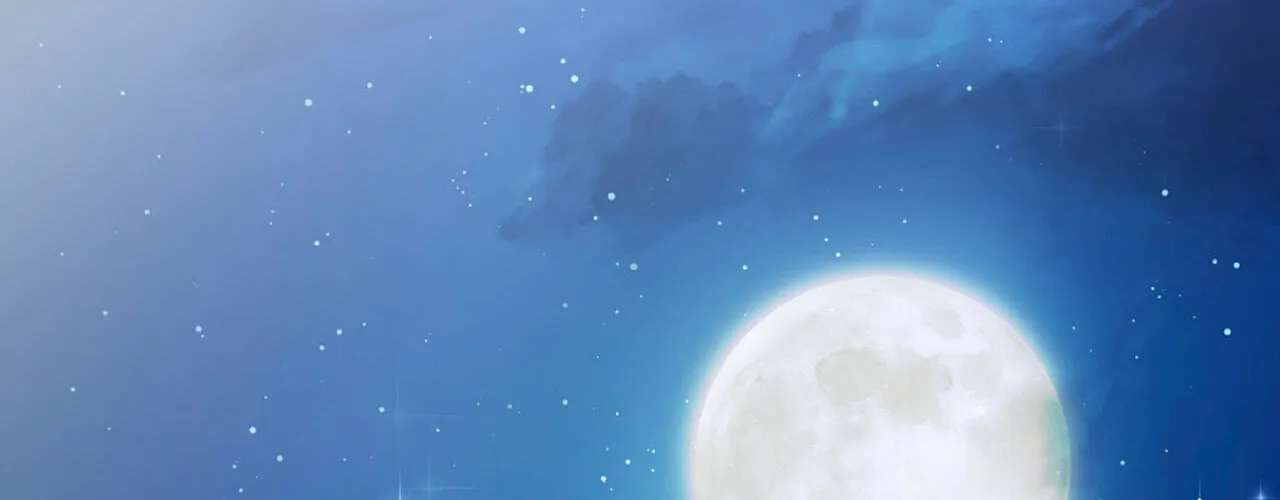 The Winter Rose Chapter 61 - page 100