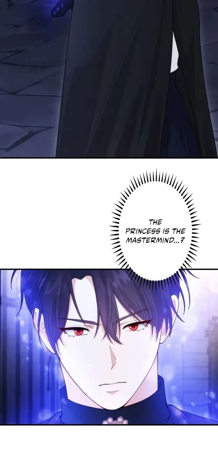 The System Error Princess Chapter 52 - page 3