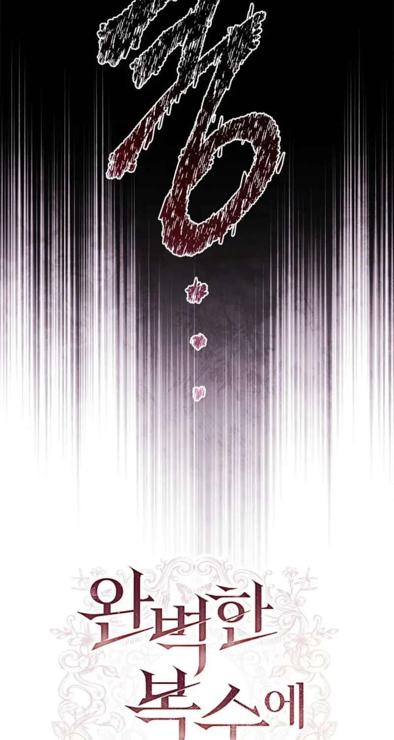 Regarding the Perfect Revenge Chapter 29 - page 24