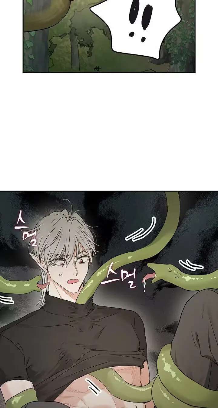 The Mating of Elves Chapter 68 - page 81