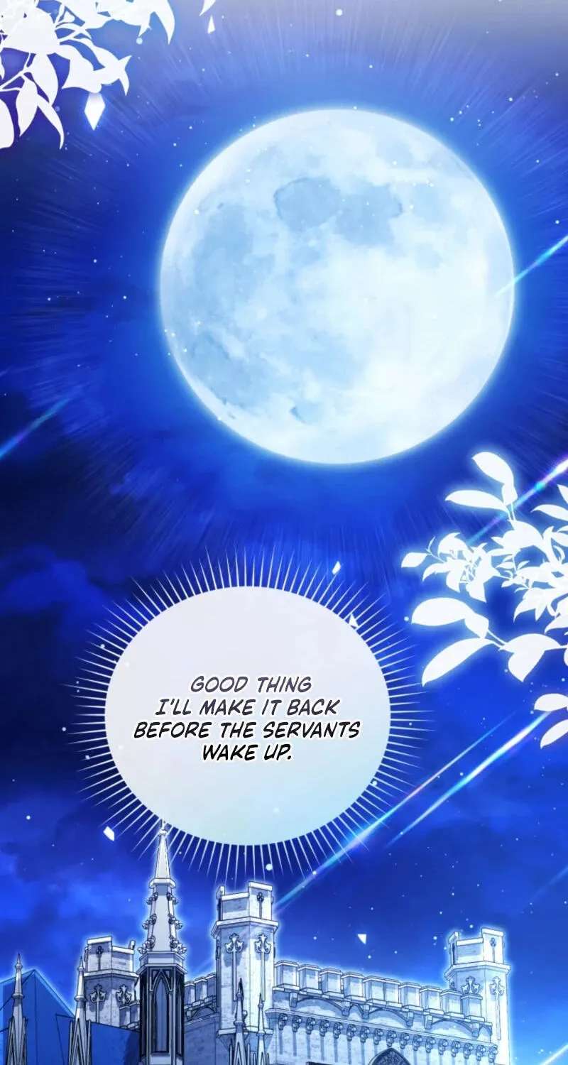 Even if I Hide My Power, the Noble Lady Is the Strongest Chapter 46 - page 74