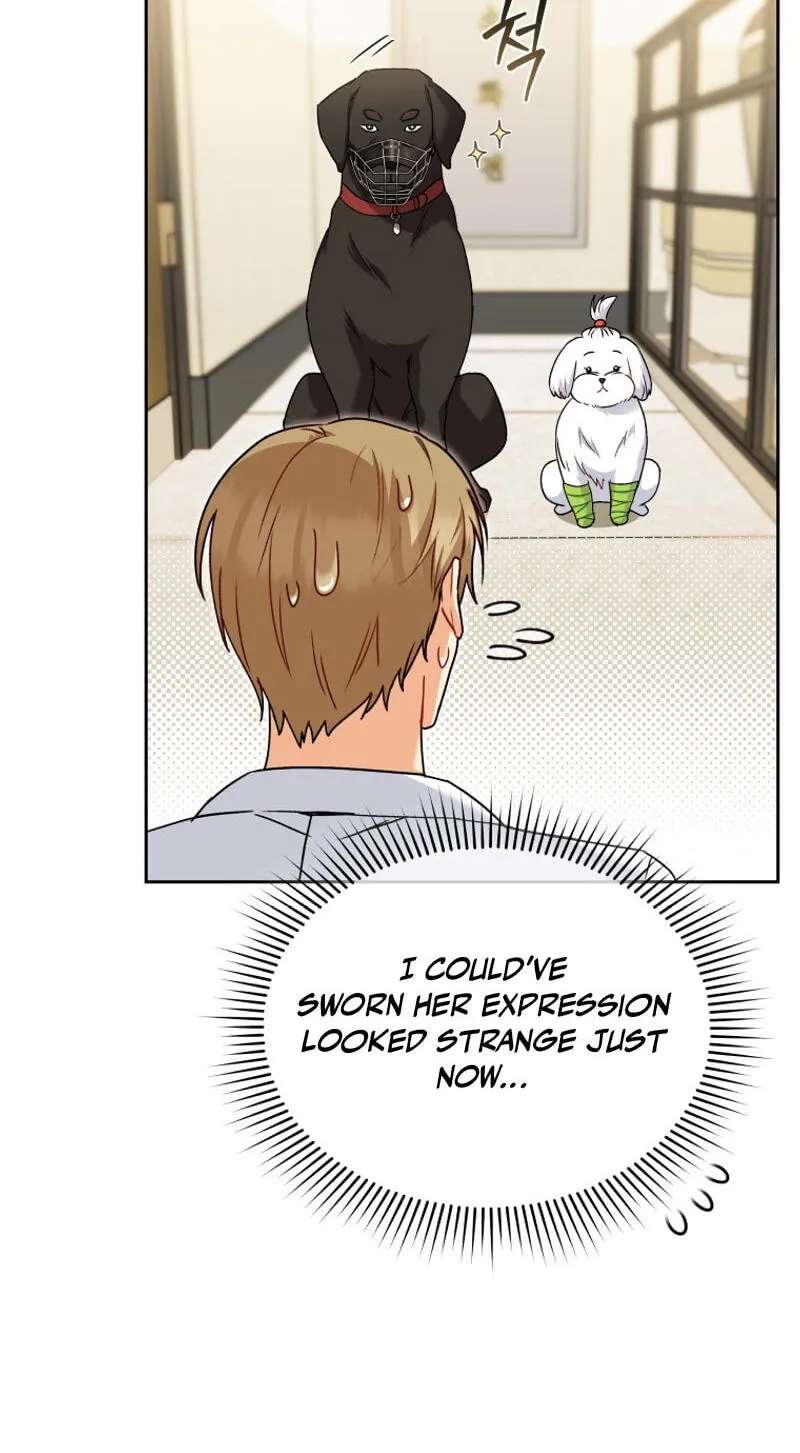 Hello, Mr. Veterinarian! Chapter 145 - page 12