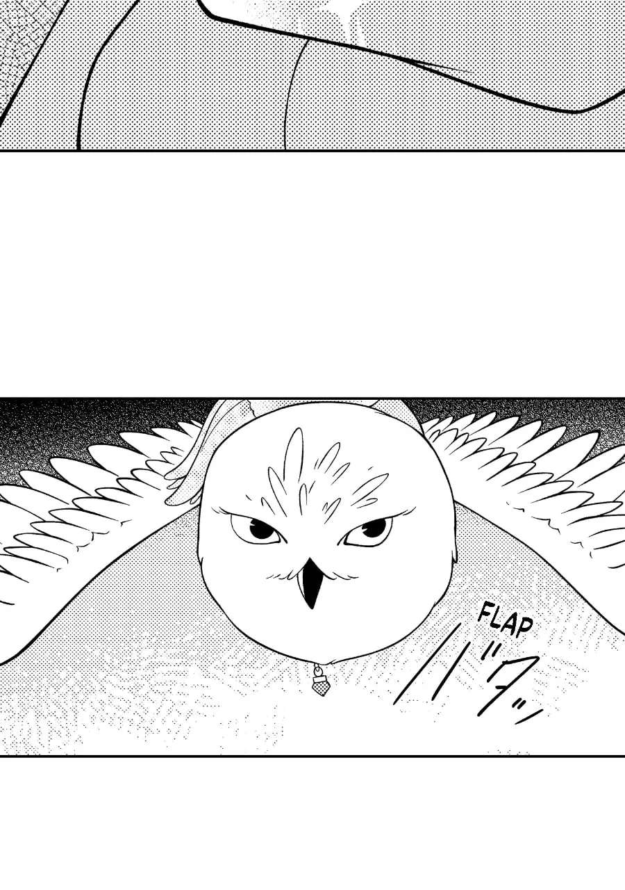 Wings of Starlight Chapter 29 - page 27