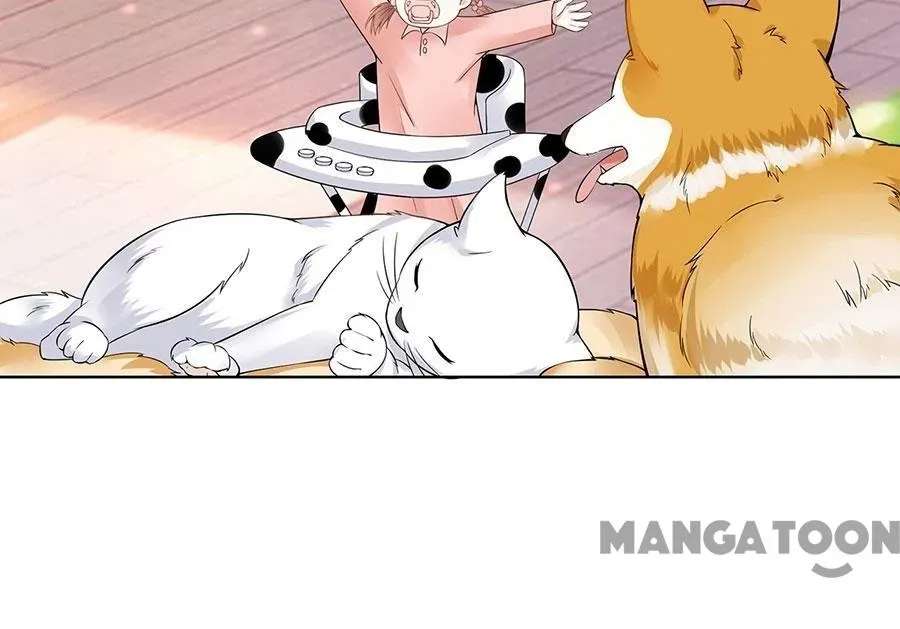 Dance Among The Stars Chapter 36 - page 48
