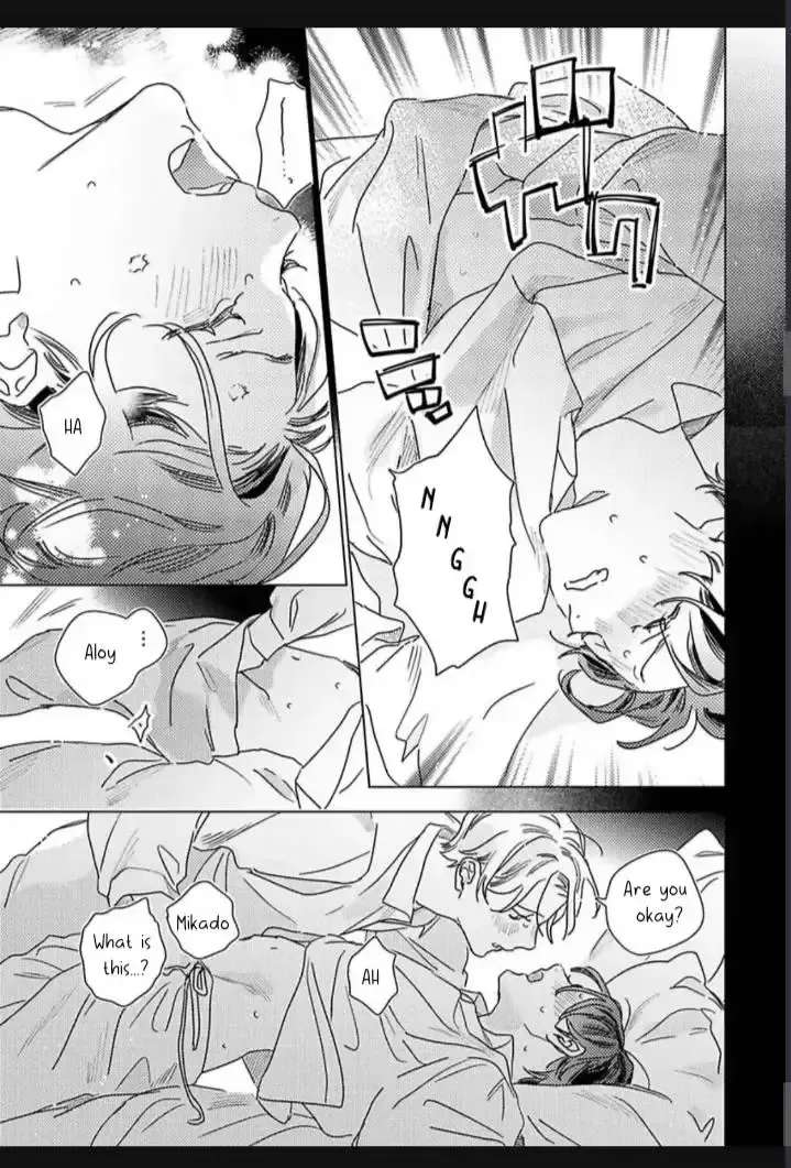 Twinkling Secrets Told Us Tonight Is the Night. Chapter 3 - page 24