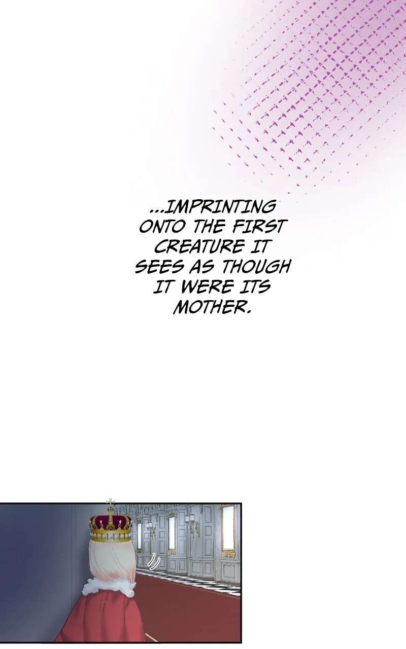 The King's ForbiddenFlower Chapter 29 - page 19