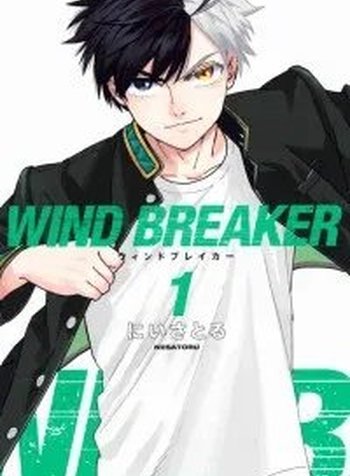 Wind Breaker (Nii Satoru)