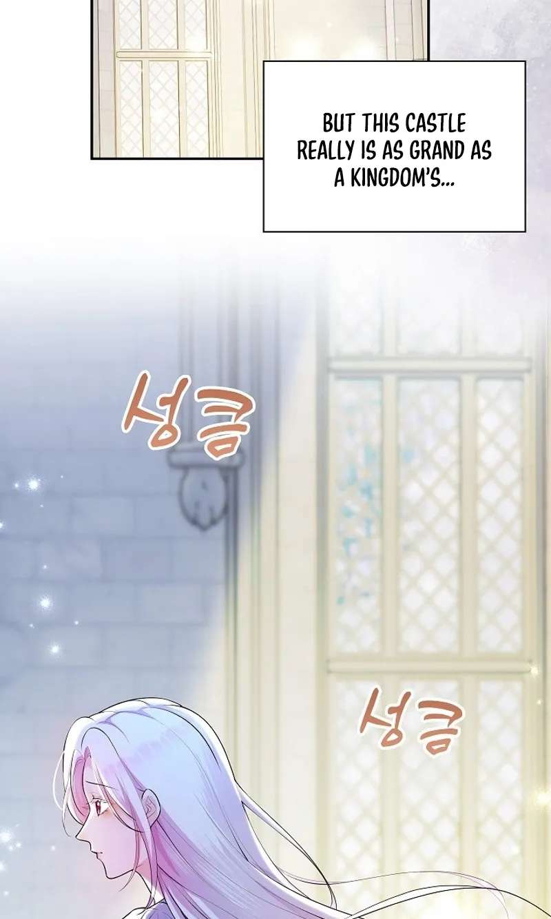 The Grand Duchess Disappeared on a Silent Night Chapter 25 - page 8