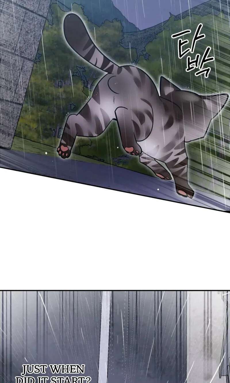 Give Birth to a Baby Wildcat for Me, Unless You Want to See Me Go Insane! Chapter 38 - page 86