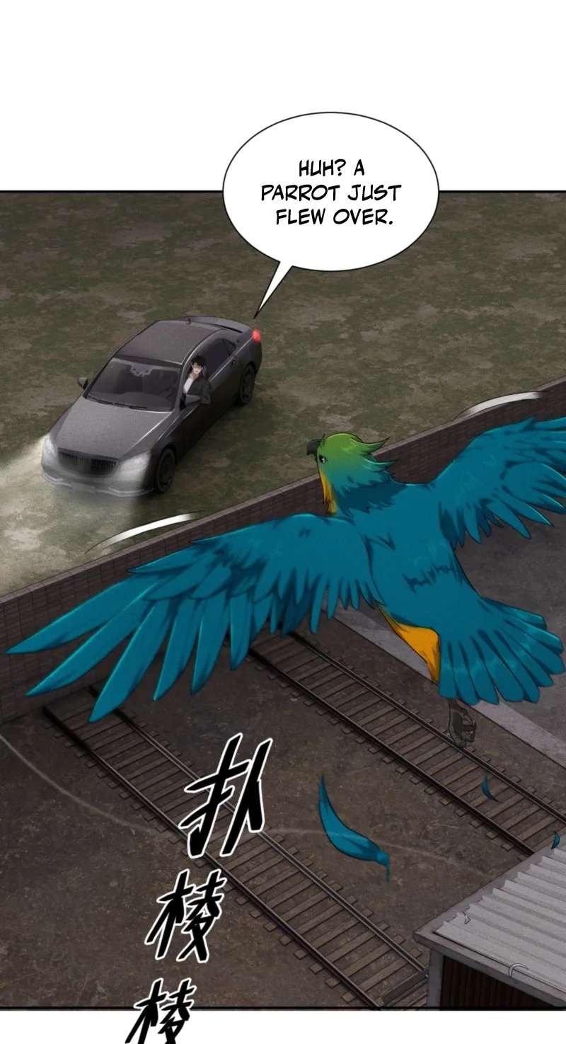 Urban Dragon Revealed Chapter 101 - page 18