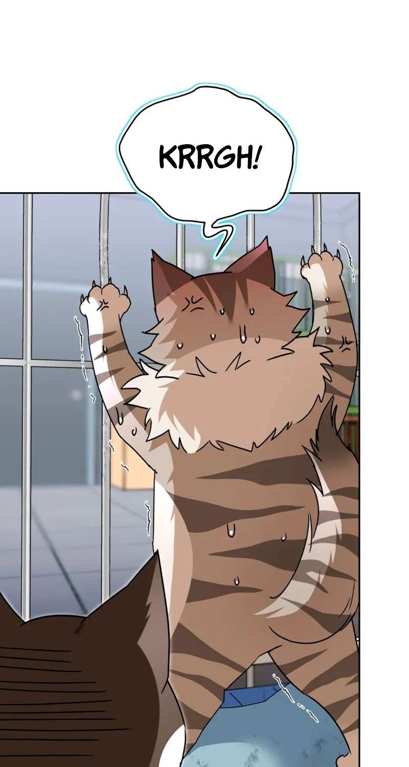 Hello! Veterinarian! Chapter 146 - page 67