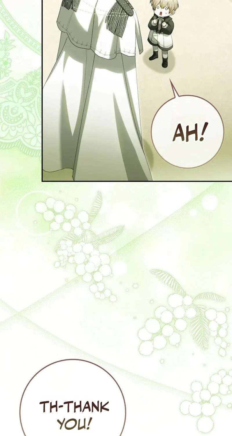 The Baby Fairy is a Villain Chapter 71 - page 17