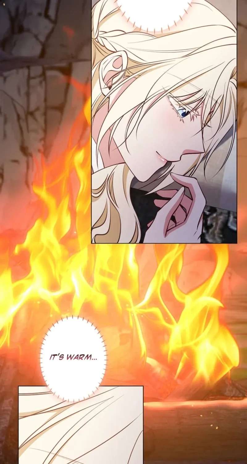 The Enemy King's Substitute Bride Chapter 47 - page 65