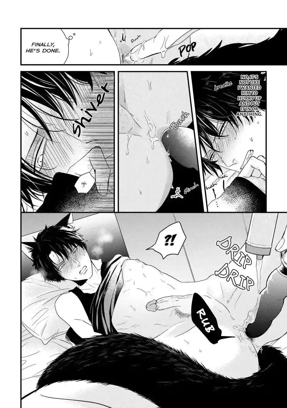 Usagi to Neko no Hatsujou Jijou Chapter 6.5 - page 10