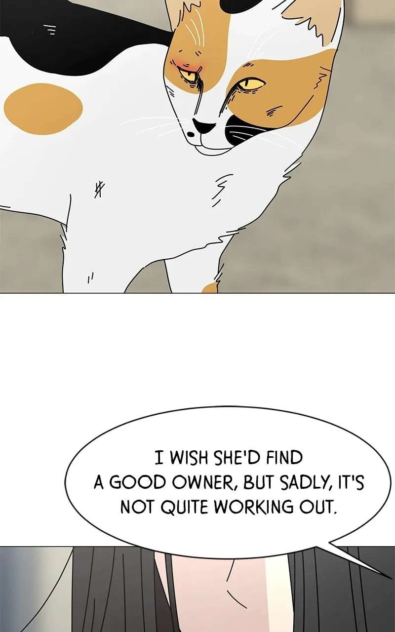 Sol in Wonderland Chapter 15 - page 11