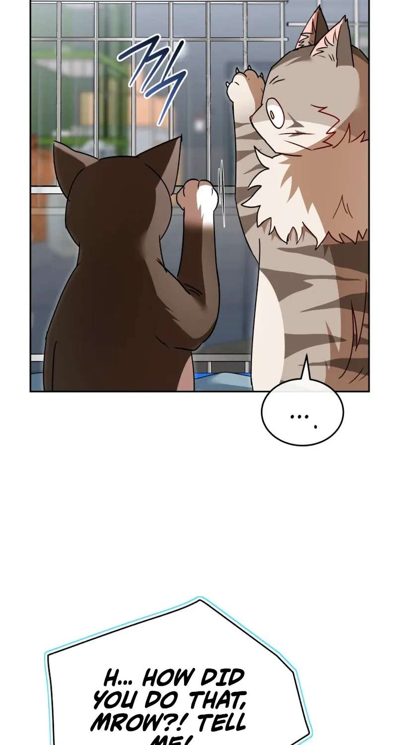 Hello! Veterinarian! Chapter 146 - page 70