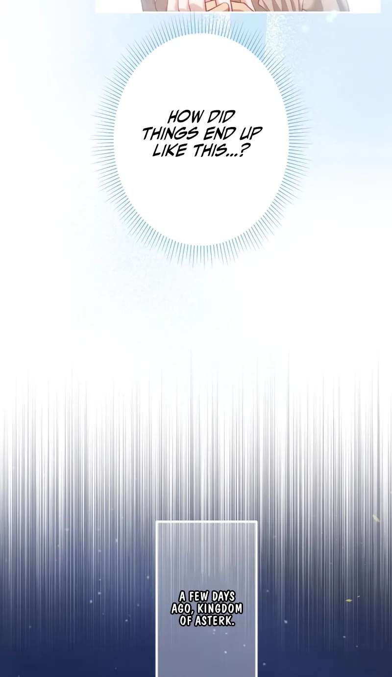 The Unhappy Poison Witch's Happy Marriage Chapter 2 - page 4