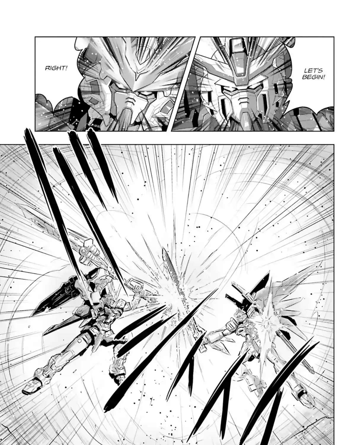 Kidou Senshi Gundam SEED Freedom Astray Chapter 2 - page 11