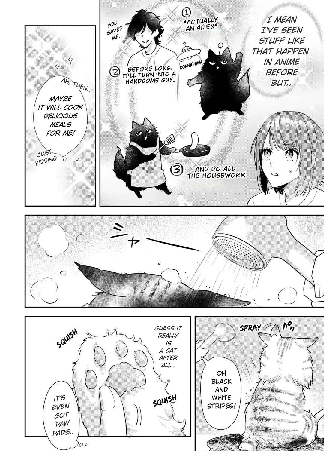 Is the Cat I Picked Up Really a Cat? Chapter 1 - page 4